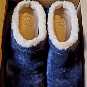 Uggs Shoes
